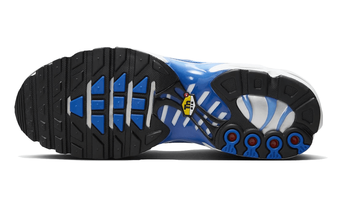 Nike® Air Max Plus Light Photography Old Royal